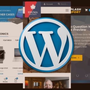 professional website development