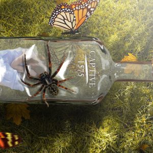 Compositing In Photoshop Course